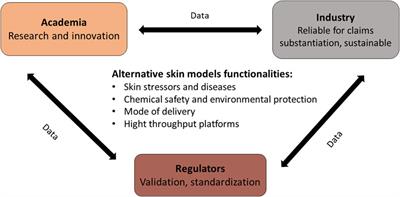 Exploitation of alternative skin models from academia to industry: proposed functional categories to answer needs and regulation demands